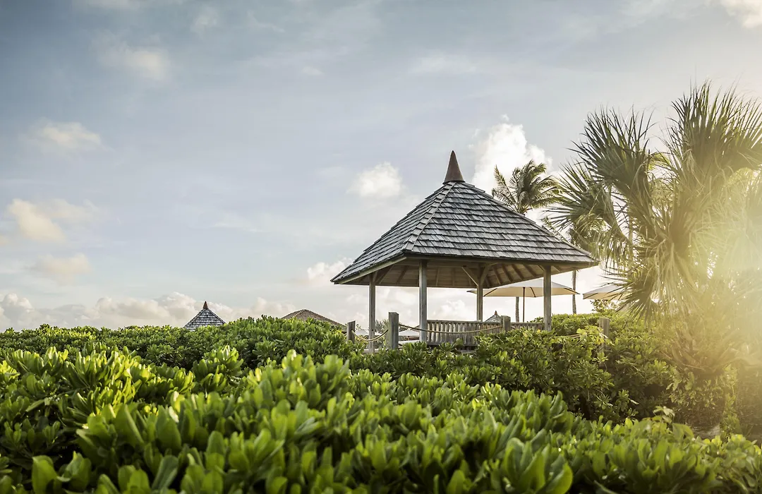 Como Parrot Cay-1